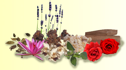 Essential Oils and Absolutes