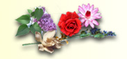 Fresh And Floral Fragrances